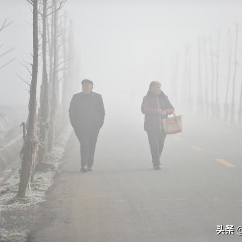 抚顺明天什么天气预报