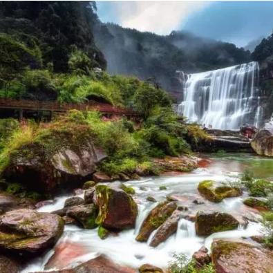 10月28生肖猴运势(生肖猴10月运势2020)