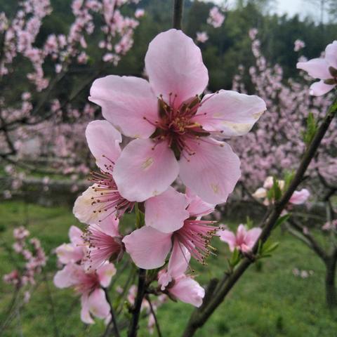 土地主电影免费观看的长尾关键词有哪些