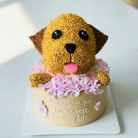 深圳最好的蛋糕店是哪家？