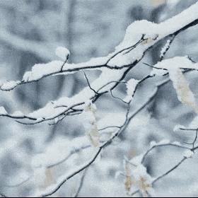 2025.12.2常熟今日气温变化情况