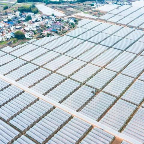 南雄过年天气预报的长尾关键词有哪些