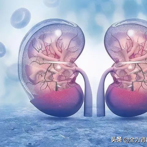 石家庄市血液过滤的长尾关键词有哪些