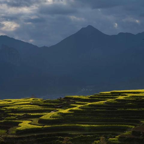 美之源美容温州市的长尾关键词有哪些