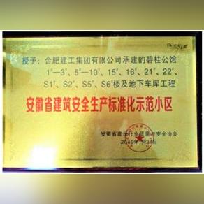安微省合肥市有什么小区