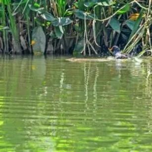 苏州常熟哪里工业区