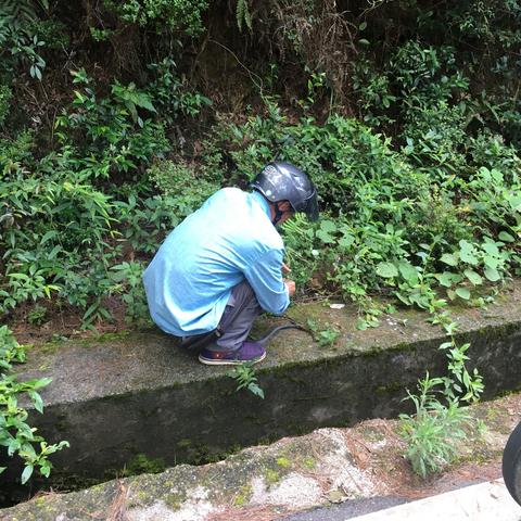 桂林哪里买面机相关长尾关键词有哪些