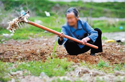 有人说农村老人60岁还下地干活是想赚钱，网友说你咋不去si？