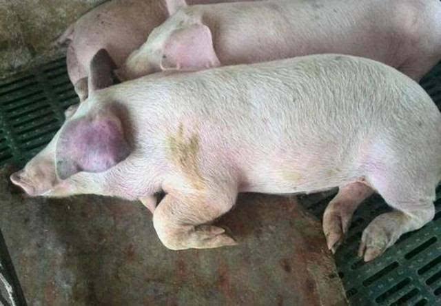 31省新增确诊107例
31省新增确诊107例