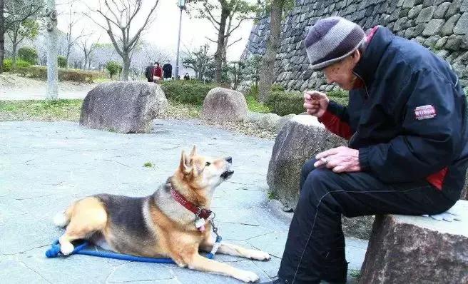 点击!新澳门2025正版天天彩和管家婆最准一肖一特_把握趋势的机会;未来又该走向哪里、成就解释落实