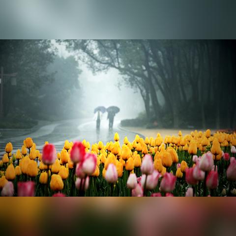 蓬莱到桂林相关长尾关键词有哪些