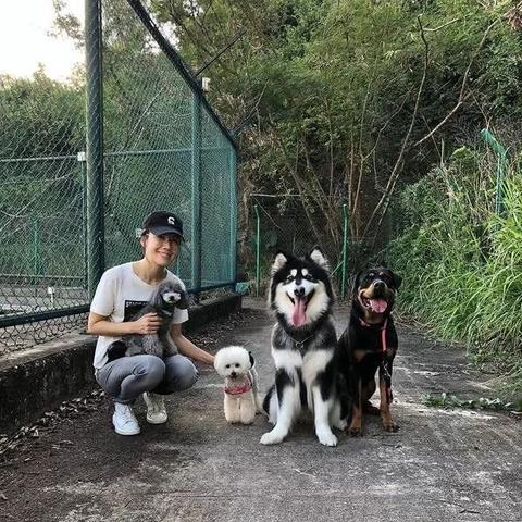 黑猫领养哈尔滨相关长尾关键词有哪些