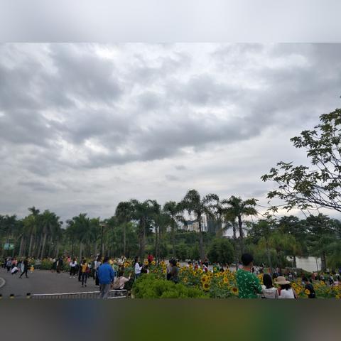 南宁市江南区哪个公园好