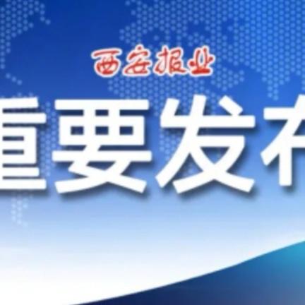 西安市怎么网上转社保