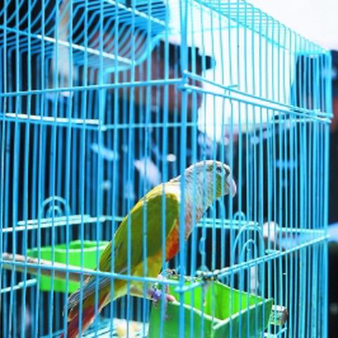 公安ai人工智能技术是什么的相关长尾关键词有哪些