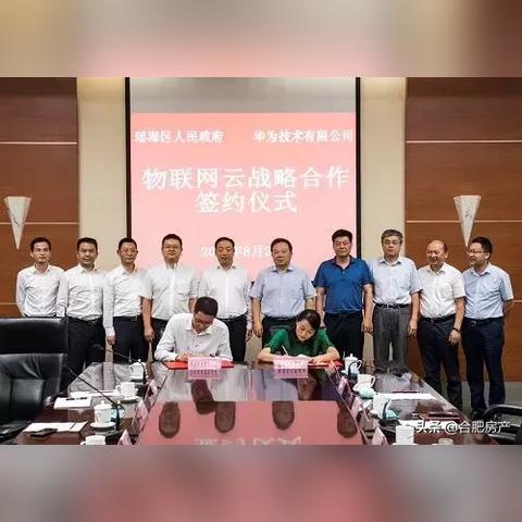 合肥市落户哪个区好一点