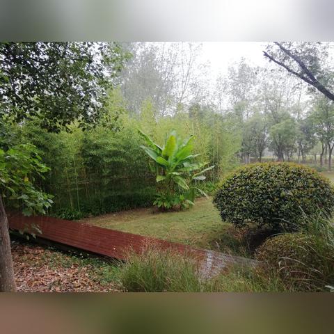 合肥市庐州天地房价多少