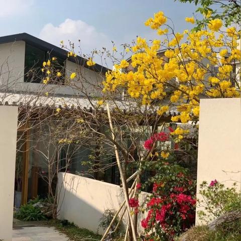 佛山市幸福鲜花店地址在哪里