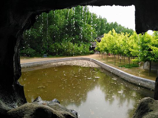 日照一冷门竹林景区，绿意盎然沁人心脾，适宜全家人游玩