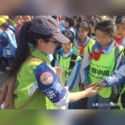 济南市的市鸟相关长尾关键词有哪些