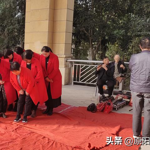 九九夕阳红养老院在合肥哪个区？