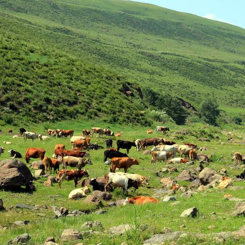 武汉城内解封的相关长尾关键词有哪些