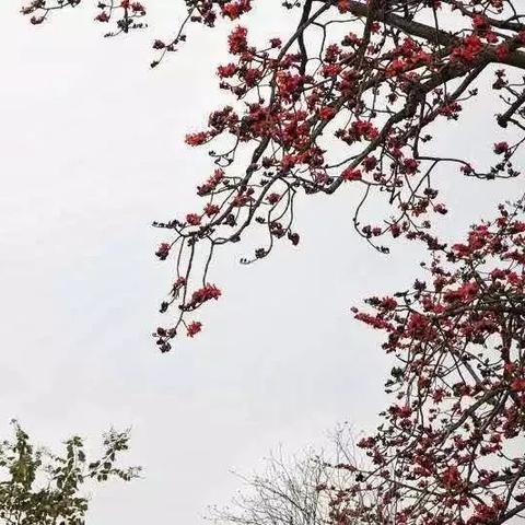 长沙市木棉花医院怎么样