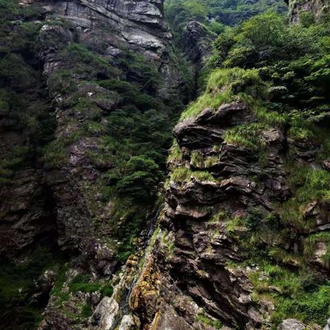 大连三院碎石好吗的长尾关键词有什么