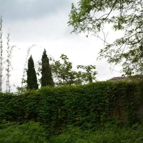 重庆蔡家怎么样