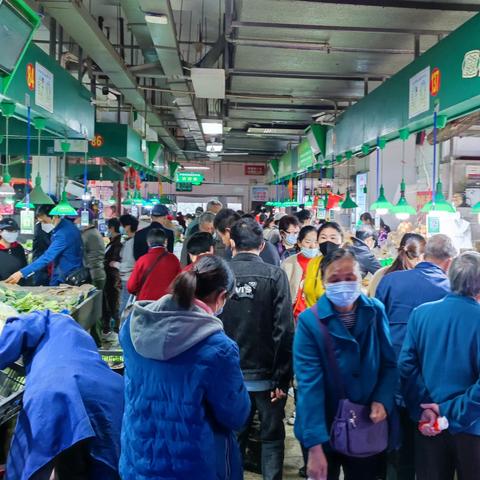 合肥市适合种什么蔬菜呢