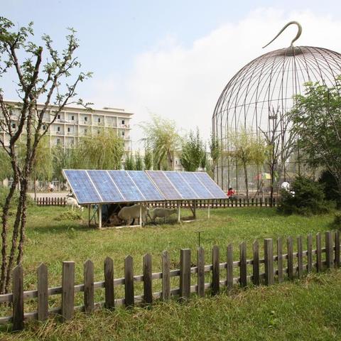 沈阳建筑大学河南的相关长尾关键词有哪些