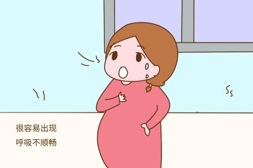 胎儿偏小是因为营养不够吗