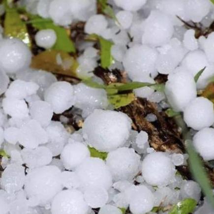 石家庄市现在是什么天气情况