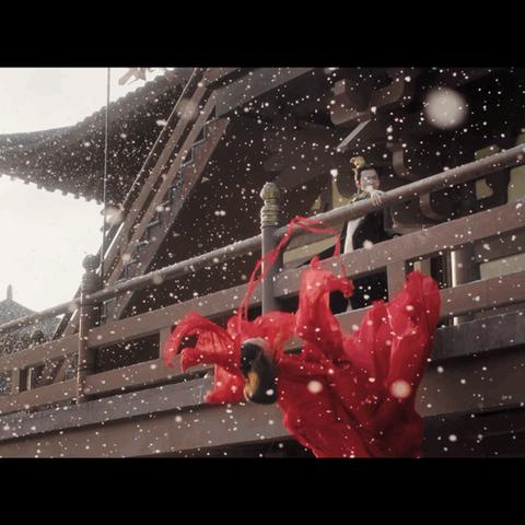 兰州哪有专门收养流浪狗的地方？