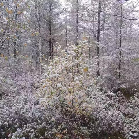 哈尔滨最低生活保障标准是多少？