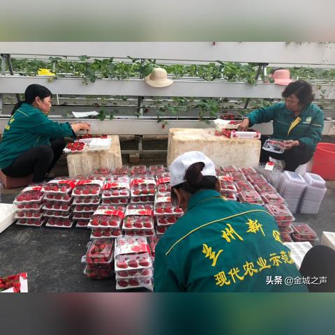 兰州关于大棚房管理的相关长尾关键词有哪些