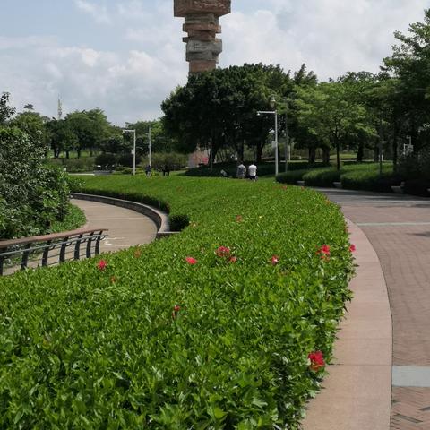 深圳市红树林怎么样
