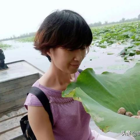 济南到汶阳的汽车相关长尾关键词有哪些