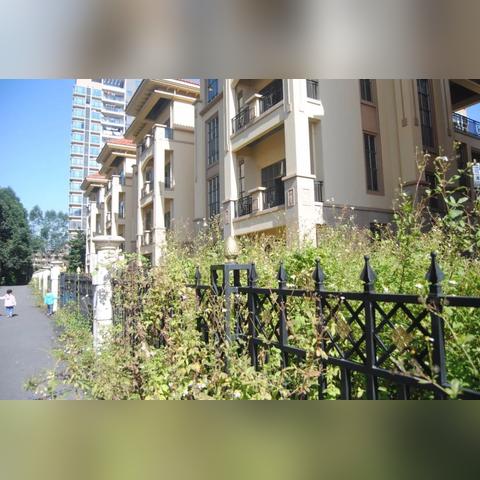 东莞市闹鬼别墅在哪里