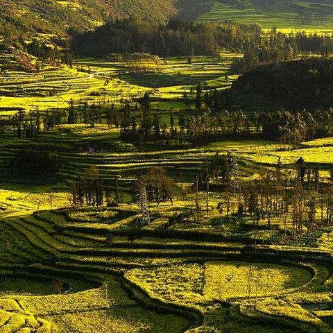 桂林俏娃娃电话相关长尾关键词有哪些