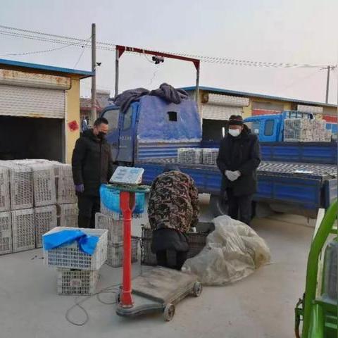 什么网络营销模式最好