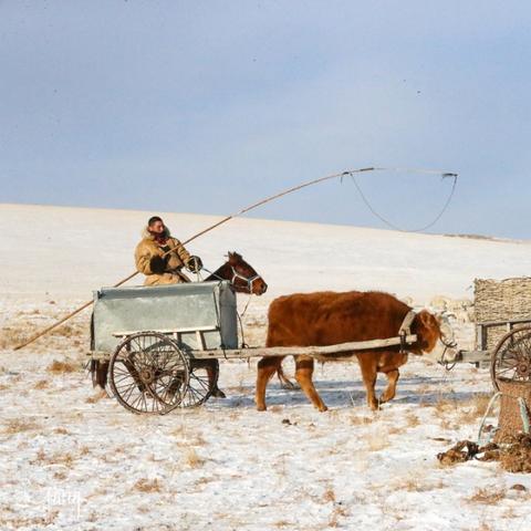 张家口离哈尔滨多远相关长尾关键词有哪些