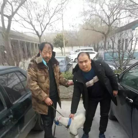 周口市狗市抖音的长尾关键词有哪些
