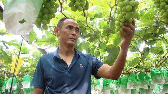 句容白兔镇幸福村笪民：搓背工到新农人的创业历程