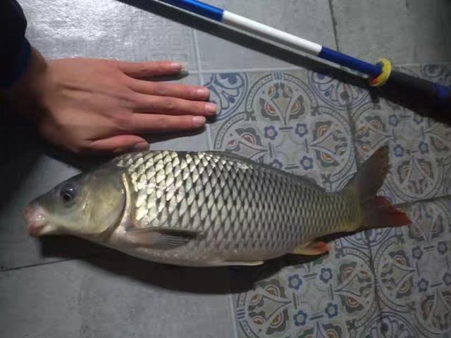 春季早晚温差大 春季早晚温差大