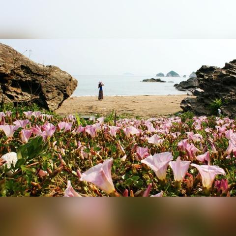 大连跨境电商如何做推广