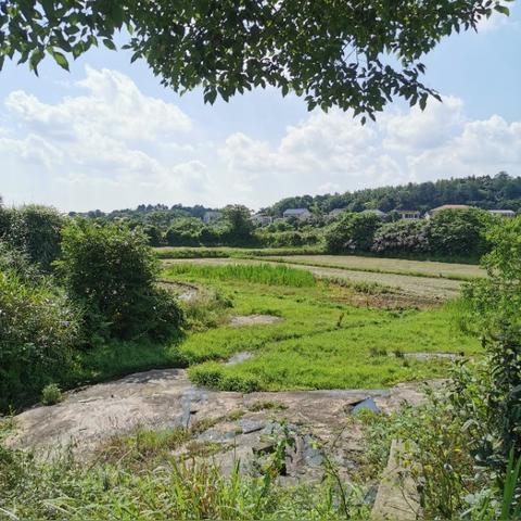 长沙市惜字塔在什么地方