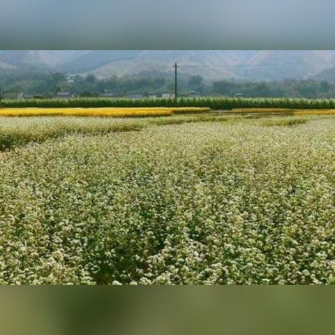 福建哪个地区凉快