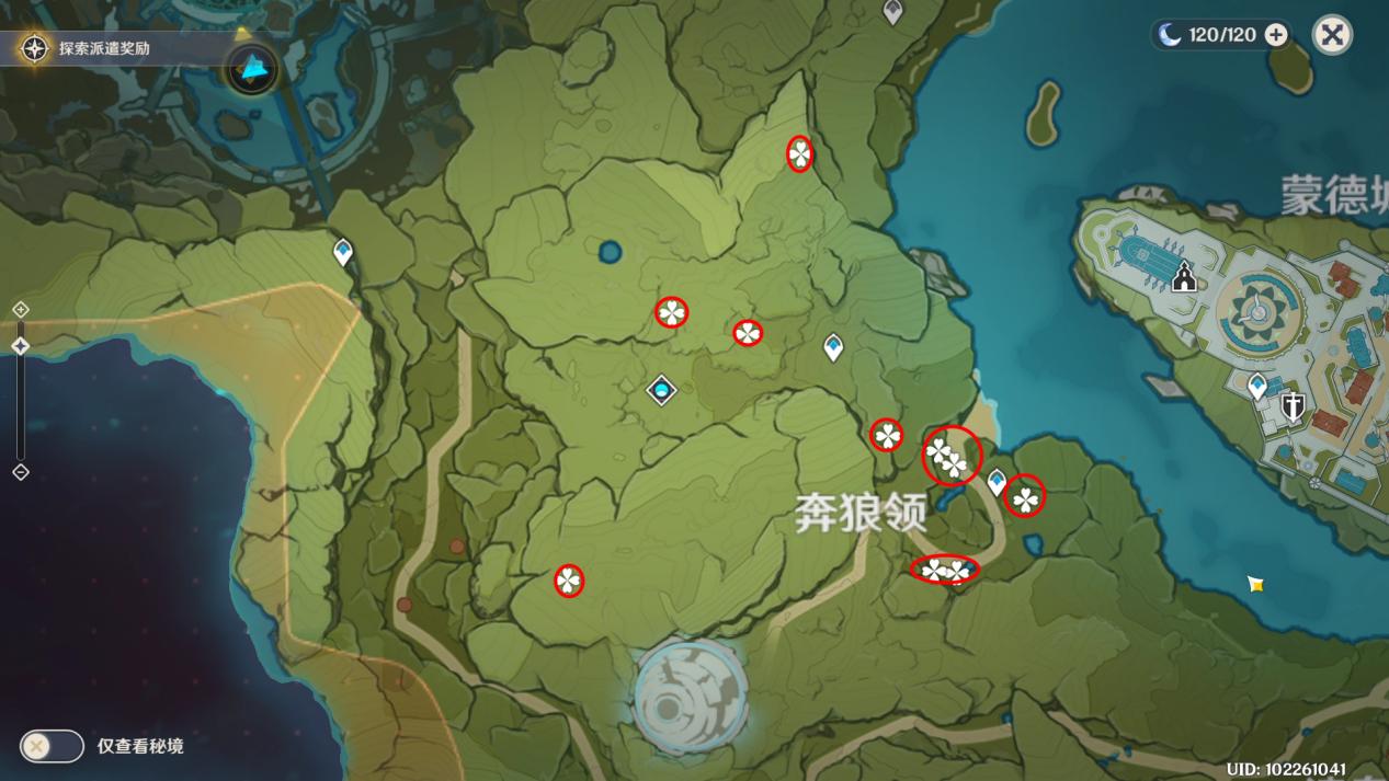 原神小灯草怎么放在柱子上（原神奔狼岭有什么植物）