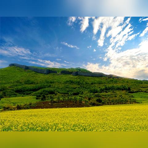 沈阳站到辽阳火车相关长尾关键词有哪些